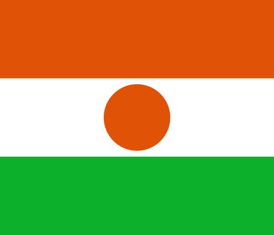 Niger flag